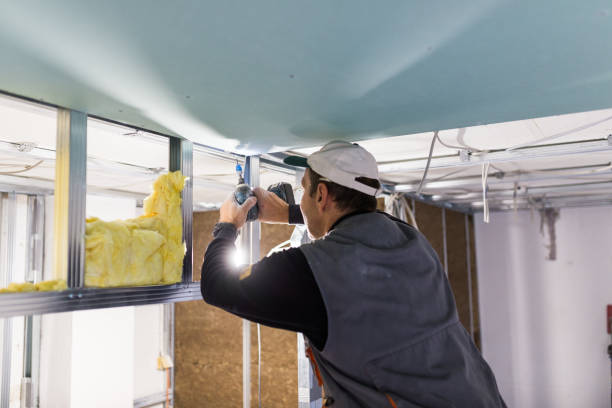 Best Insulation for New Construction  in Philipsburg, PA